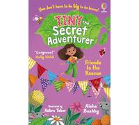 Tiny the Secret Adventurer: Friends to the Rescue – Usborne