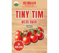 Tiny Tim Micro Dwarf Tomato Seeds - 20 Fresh Seeds
