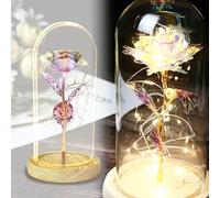 TINYOUTH 24K Galaxy in Glass Dome, Gold Plated Light Up Rose Batteries Included Rose Gifts for Women/Her/Mum Wedding Anniversary Valentines Birthday Xmas