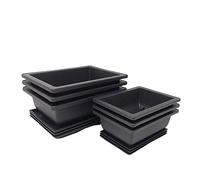 Tinyroots Bonsai Training Pots with Humidity Trays - Built in Mesh, 6" and 8" Large Planter Combo Pack + Made from Durable Shatter Proof Poly-Resin (Set of 6 Pot Set)…