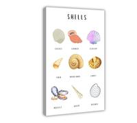 TIOQFJD Seashells Montessori Poster Canvas Poster Wall Art Decor Print Picture Paintings for Living Room Bedroom Decoration 20x30inch(50x75cm)