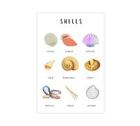 TIOQFJD Seashells Montessori Poster Canvas Poster Wall Art Decor Print Picture Paintings for Living Room Bedroom Decoration 20x30inch(50x75cm)