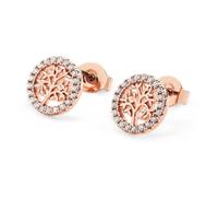 Tipperary Crystal Rose Gold Tree of Life Stud Earrings for Women with Sparkling CZ Circle Detail Elegant Symbolic Jewellery Gift