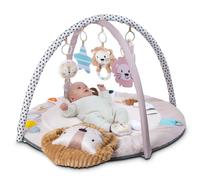 Tippi Sensory Baby Play Gym & Super Soft Plush Play Mat for Babies