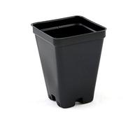 Tiptop Home 2.5 inch Square Greenhouse Pots - Black - Plastic - Deep - 25 Pack by Growers Solution