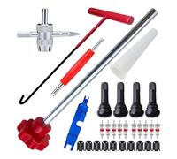 Tire Repair Valve Tools - 30 Piece Tire Valve Removal Tool | Repair Tool Quick Change T-Hook Replacement Car Accessories for Motorcycle & Car