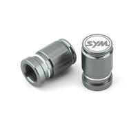 Tire valve cap For SYM JOYMAX Z 125/250/300 MAXSYM 400i 600i TL500 CRUiSYM 300 GTS 300i T2 T3 Joyride 200 Tire Valve Stem Cap(E)