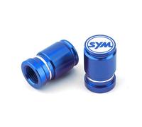Tire valve cap For SYM JOYMAX Z 125/250/300 MAXSYM 400i 600i TL500 CRUiSYM 300 GTS 300i T2 T3 Joyride 200 Tire Valve Stem Cap(B)