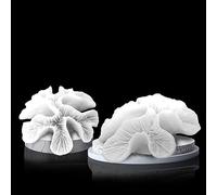 Tirifer Pack of 2 White Coral Decor, White Coral Reef, Faux Coral Decor Faux Coral Decor Resin Coral Décor Beach Home Ornaments for Beach House Decorative Coral Pieces for Aquariums Fish Tanks