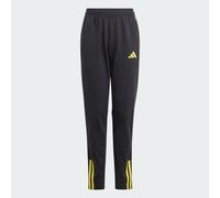 Adidas Tiro 23 Competition Training Pants