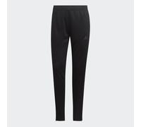 adidas Womens Tir23 L Pants W Black 12