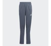 Adidas Tiro23 L Pants