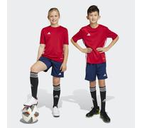 Tiro 23 League Training Shorts