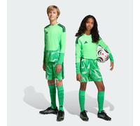 TIRO26 COMPETITION GOALKEEPER SHORTS KIDS