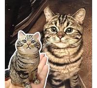 TIRXUIND Personalized 3D Pet Portrait Magnet - Hand-Painted Full Body Dog Cat Plaster Figurine, Personalized Animal Memorial Art for Fridge or Car Diffuser, Unique Gift for Pet Lovers