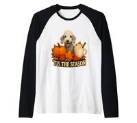 Tis The Season Bedlington Terrier Dog Fall Autumn Pumpkin Raglan Baseball Tee