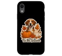 Tis The Season English Foxhound Dog Fall Autumn Pumpkin Cup Case for iPhone XR