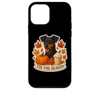 Tis The Season German Pinscher Dog Fall Autumn Pumpkin Spice Case for iPhone 12 mini