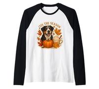 Tis The Season Great Swiss Mountain Dog Fall Autumn Pumpkin Raglan Baseball Tee