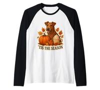 Tis The Season Irish Terrier Dog Fall Autumn Pumpkin Spice Raglan Baseball Tee
