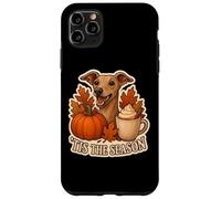 Tis The Season Italian Greyhound Dog Fall Autumn Pumpkin Pup Case for iPhone 11 Pro Max