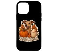 Tis The Season Italian Greyhound Dog Fall Autumn Pumpkin Pup Case for iPhone 12 mini