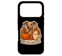 Tis The Season Italian Greyhound Dog Fall Autumn Pumpkin Pup Case for iPhone 17 Pro