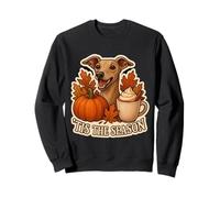 Tis The Season Italian Greyhound Dog Fall Autumn Pumpkin Pup Sweatshirt