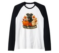 Tis The Season Kerry Blue Terrier Dog Fall Autumn Pumpkin Raglan Baseball Tee