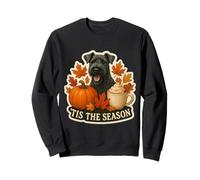 Tis The Season Kerry Blue Terrier Dog Fall Autumn Pumpkin Sweatshirt