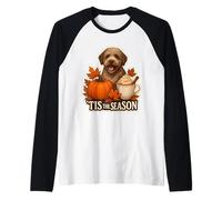 Tis The Season Lagotto Romagnolo Dog Fall Autumn Pumpkin Cup Raglan Baseball Tee