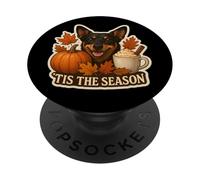 Tis The Season Lancashire Heeler Dog Fall Autumn Pumpkin Cup PopSockets Adhesive PopGrip