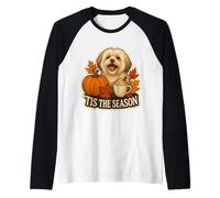 Tis The Season Lhasa Apso Dog Fall Autumn Pumpkin Spice Cute Raglan Baseball Tee