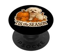 Tis The Season Maltese Dog Fall Autumn Pumpkin Spice Latte PopSockets Adhesive PopGrip