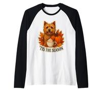 Tis The Season Norwich Terrier Dog Fall Autumn Pumpkin Spice Raglan Baseball Tee