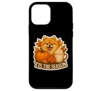 Tis The Season Pomeranian Dog Fall Autumn Pumpkin Spice Cute Case for iPhone 12 mini