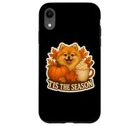 Tis The Season Pomeranian Dog Fall Autumn Pumpkin Spice Cute Case for iPhone XR