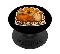Tis The Season Pomeranian Dog Fall Autumn Pumpkin Spice Cute PopSockets Adhesive PopGrip