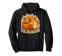 Tis The Season Pomeranian Dog Fall Autumn Pumpkin Spice Cute Pullover Hoodie