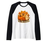 Tis The Season Pomeranian Dog Fall Autumn Pumpkin Spice Cute Raglan Baseball Tee