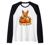 Tis The Season Portuguese Podengo Pequeno Dog Fall Autumn Raglan Baseball Tee