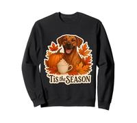 Tis The Season Rhodesian Ridgeback Dog Fall Autumn Pumpkin Sweatshirt