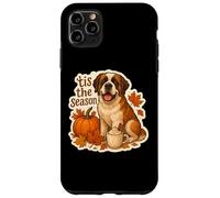 Tis The Season Saint Bernard Dog Fall Autumn Pumpkin Spice Case for iPhone 11 Pro Max