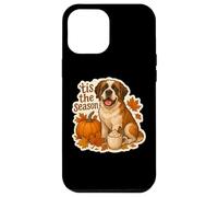 Tis The Season Saint Bernard Dog Fall Autumn Pumpkin Spice Case for iPhone 12 Pro Max