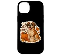 Tis The Season Saint Bernard Dog Fall Autumn Pumpkin Spice Case for iPhone 14 Plus