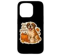 Tis The Season Saint Bernard Dog Fall Autumn Pumpkin Spice Case for iPhone 15 Pro