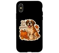 Tis The Season Saint Bernard Dog Fall Autumn Pumpkin Spice Case for iPhone X/XS