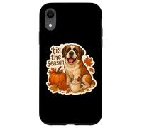 Tis The Season Saint Bernard Dog Fall Autumn Pumpkin Spice Case for iPhone XR