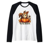 Tis The Season Squirrel Fall Autumn Pumpkin Spice Vintage Raglan Baseball Tee
