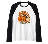 Tis The Season Welsh Terrier Dog Fall Autumn Pumpkin Spice Raglan Baseball Tee